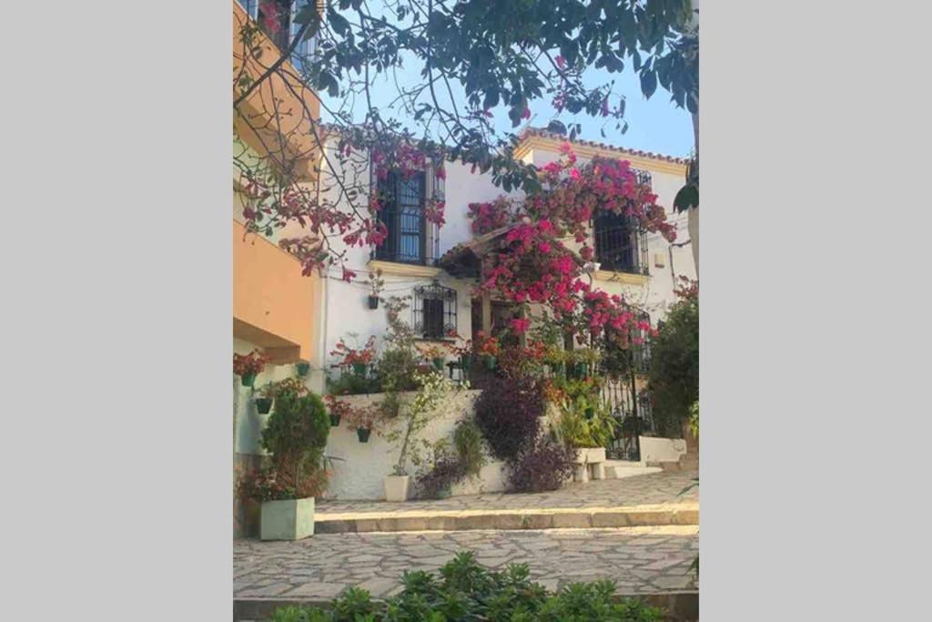 Appartement Palmeras Puerto Paraiso Estepona Eksteriør bilde